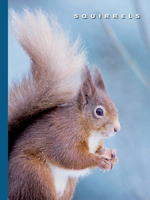 cover image of Squirrels